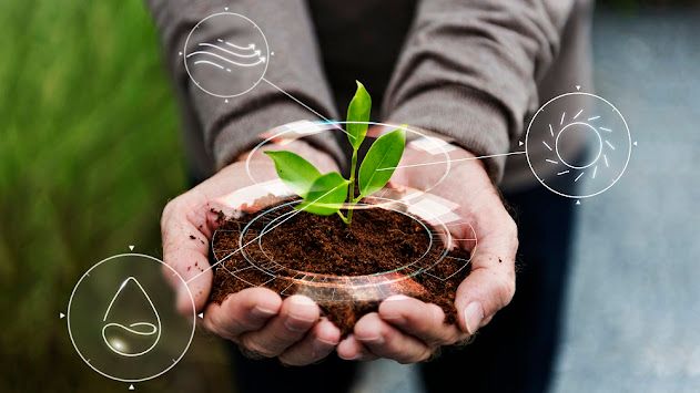 How Digital Technologies Are Transforming the Global Smart Farming Market?